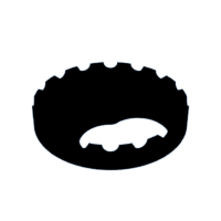 download {{ file.name }}