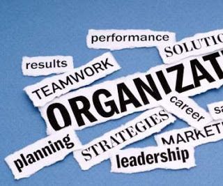 Organization Is the Half Life