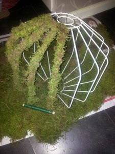 Attach the Moss