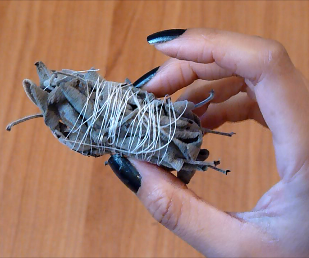 DIY Sage Smudge Stick