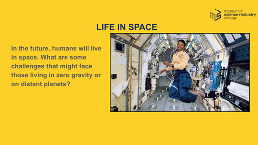 Choose Your Challenge