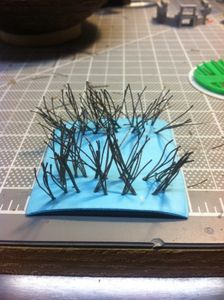 Making the Sensor