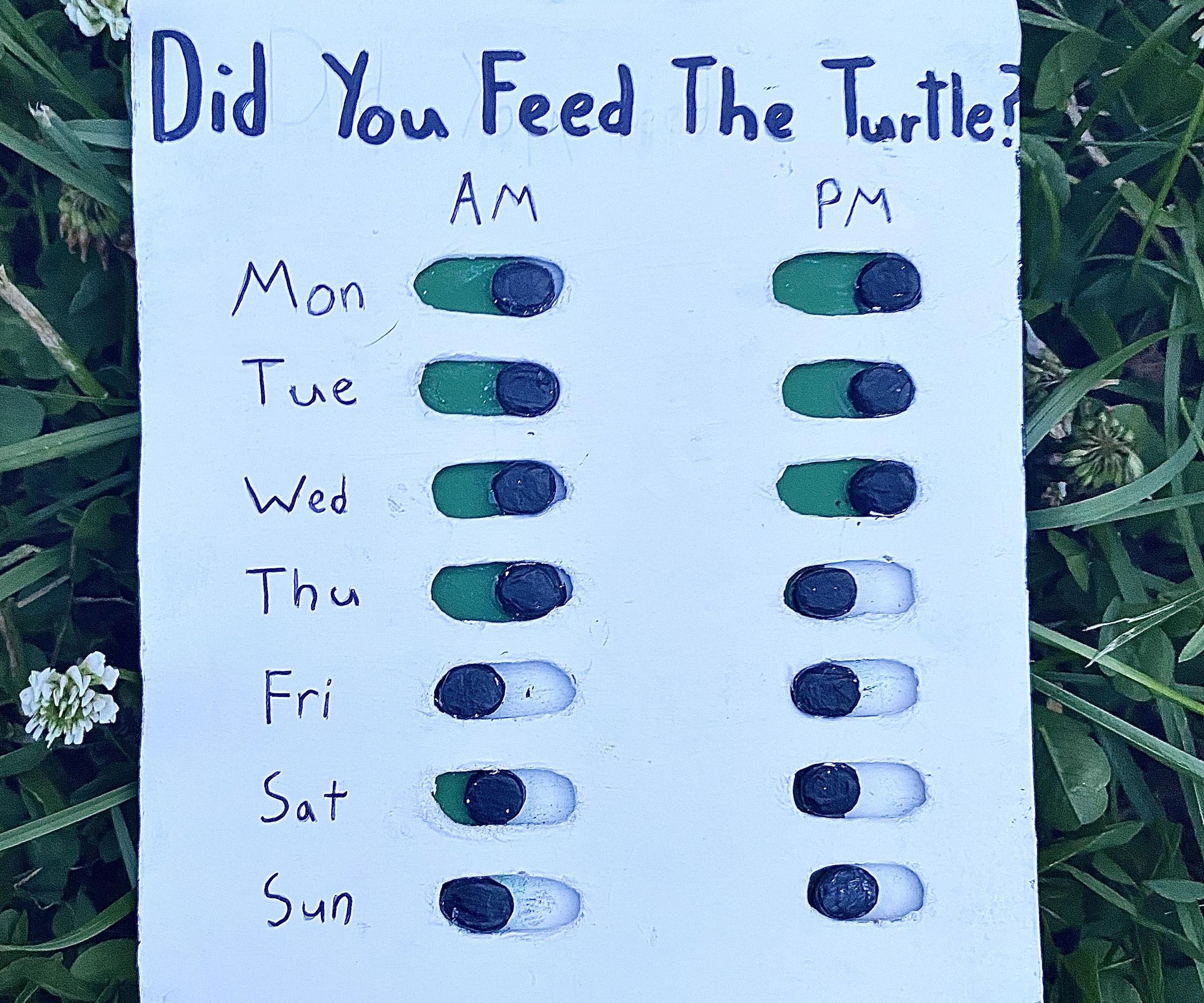 Did You Feed the Pets?