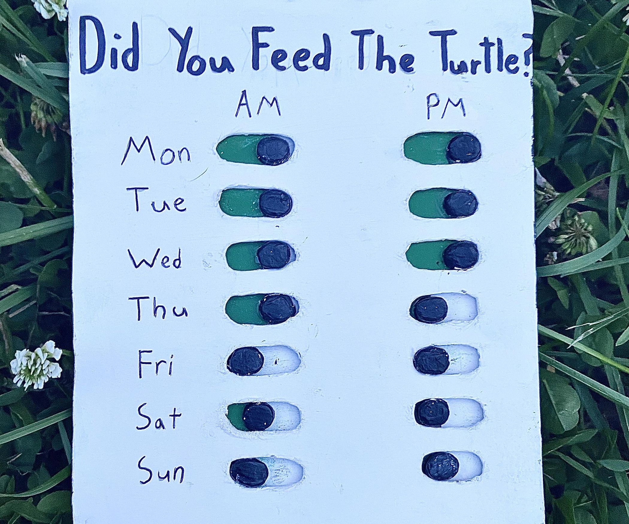 Did You Feed the Pets? : 11 Steps (with Pictures) - Instructables