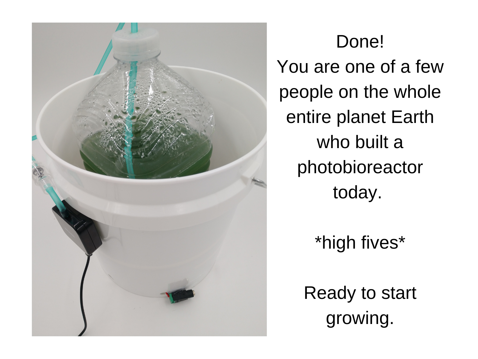 Growing Spirulina in the Classroom 18 Steps (with Pictures