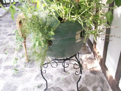 Convert Porch Into Greehouse