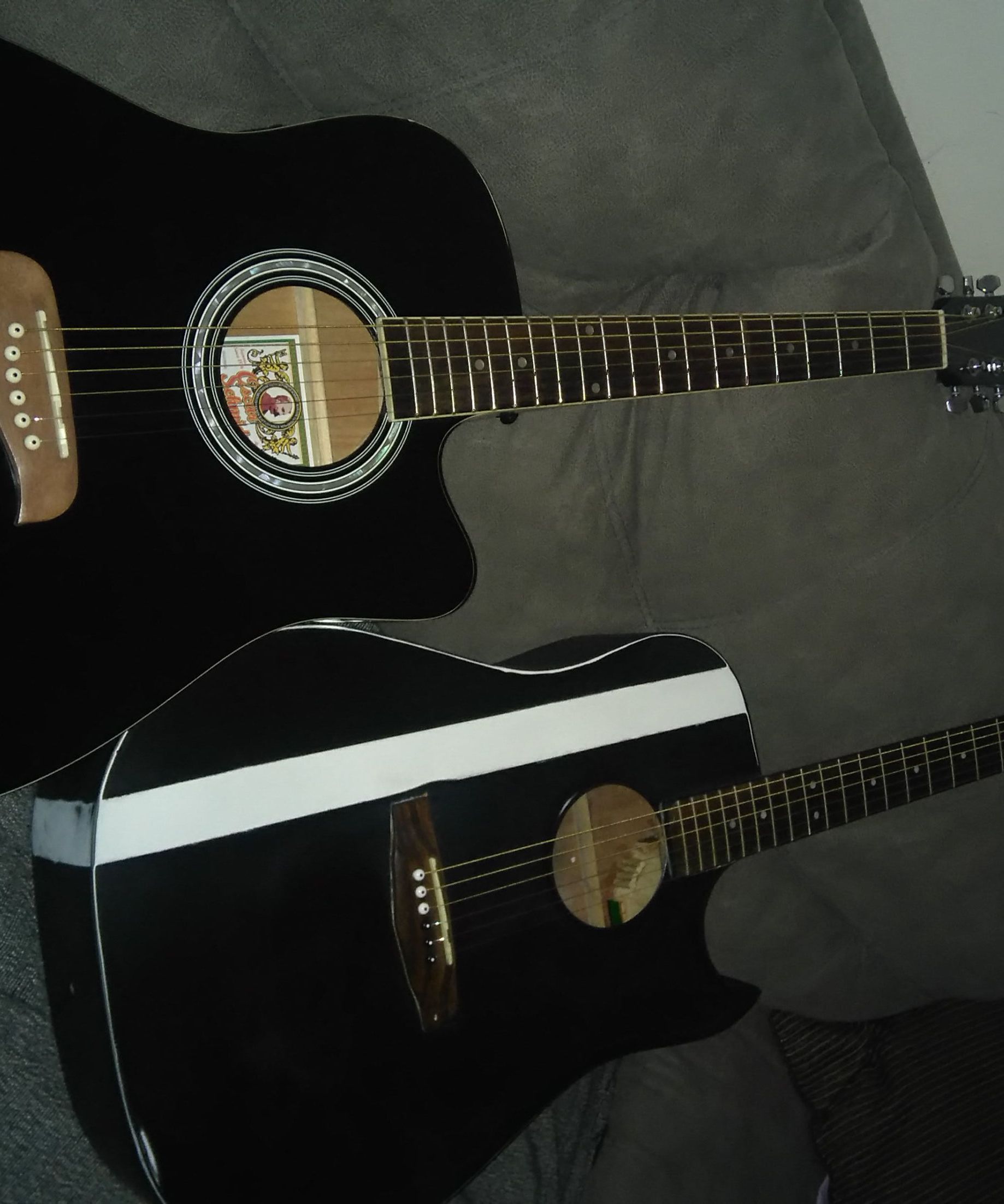 Acoustic Guitar Cutaway