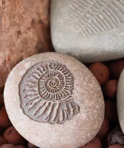 How to Make Imitation Fossils?