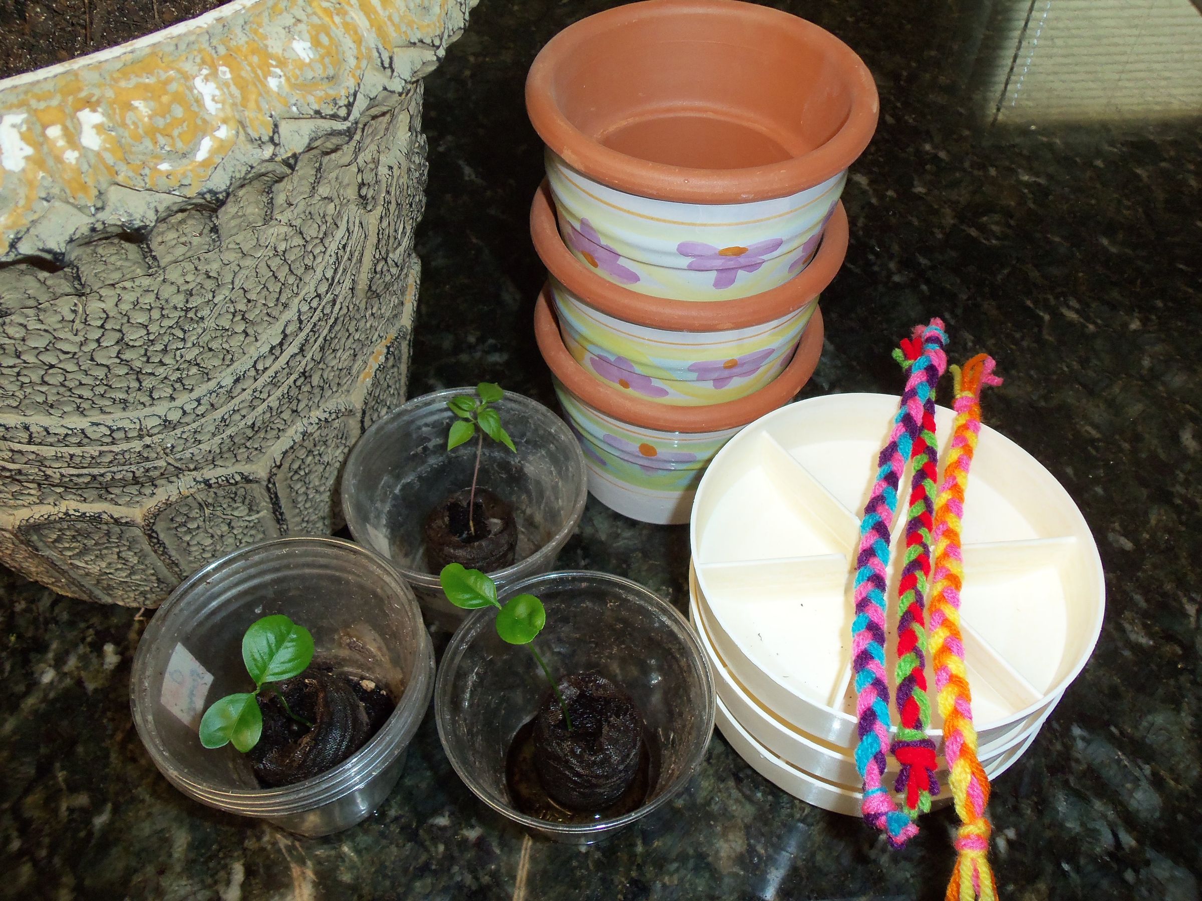 Self-Watering With Yarn