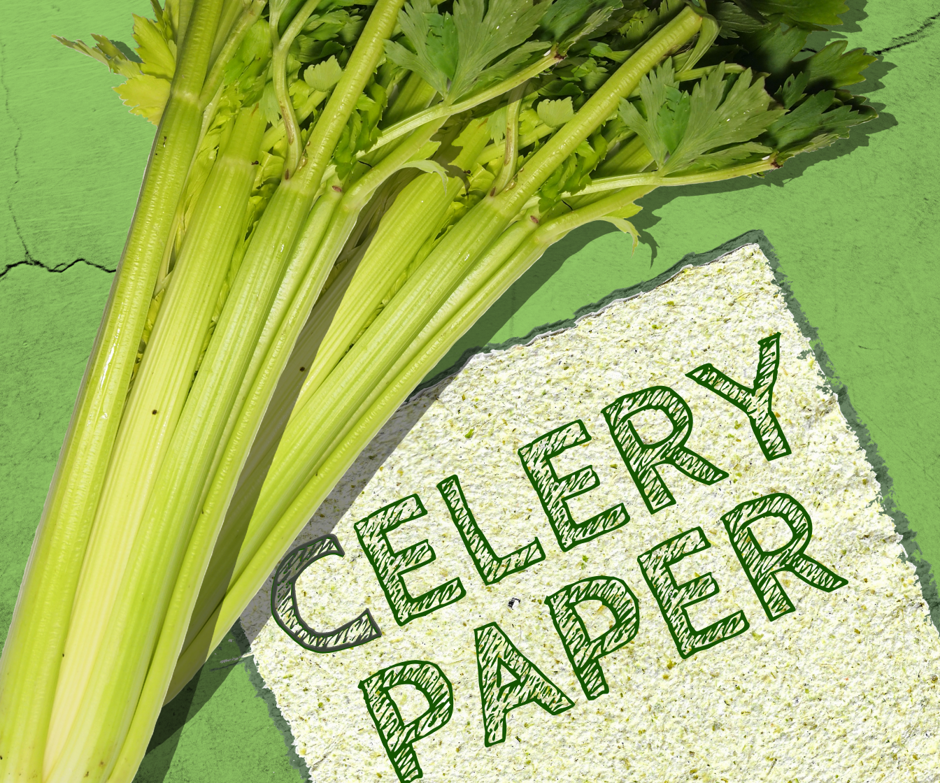Super-Green Celery Paper!