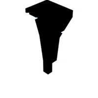 download {{ file.name }}