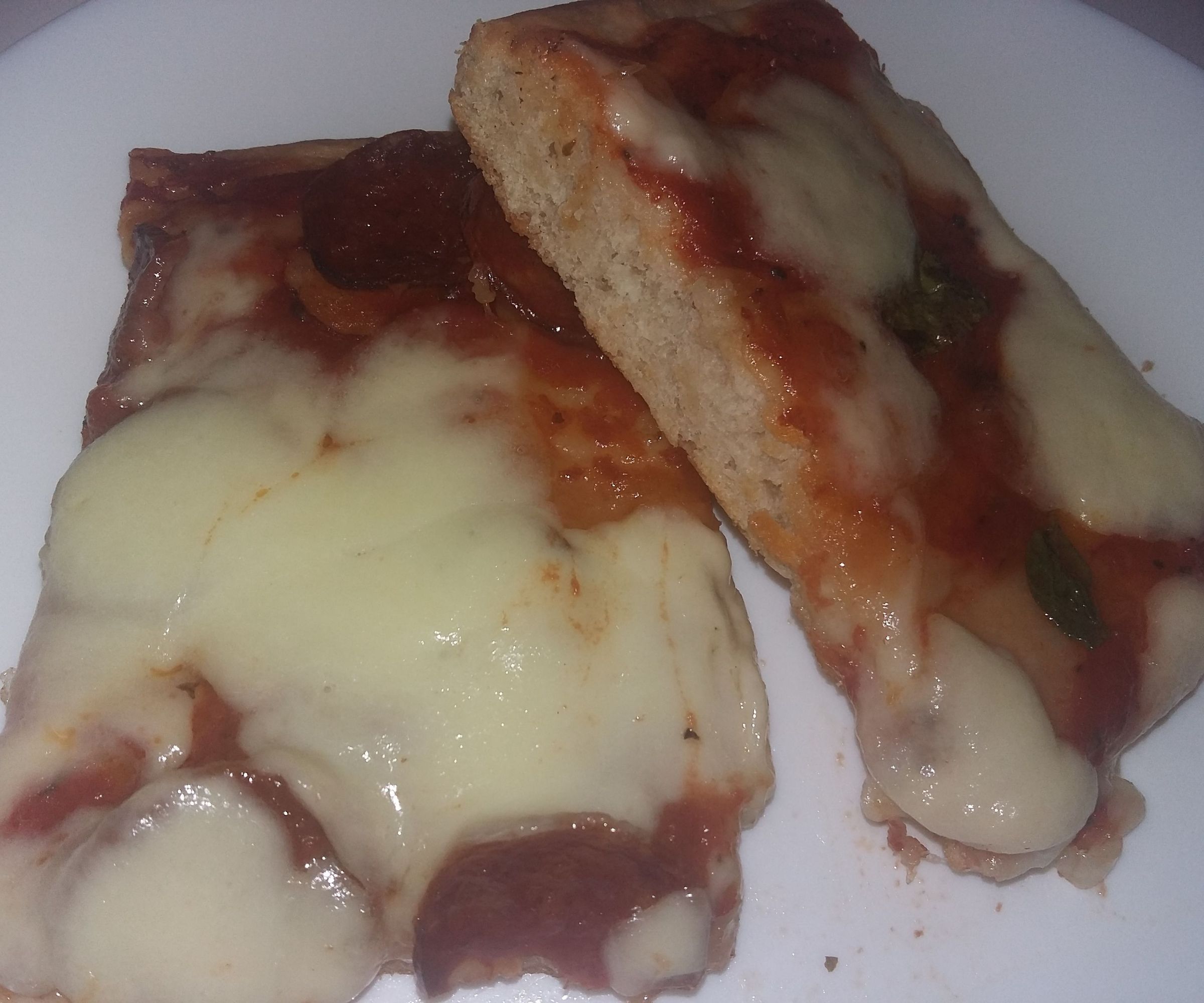 Italian Style Pizza in Oven Form