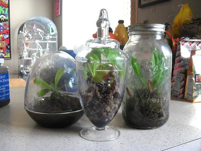 Vessel Variety