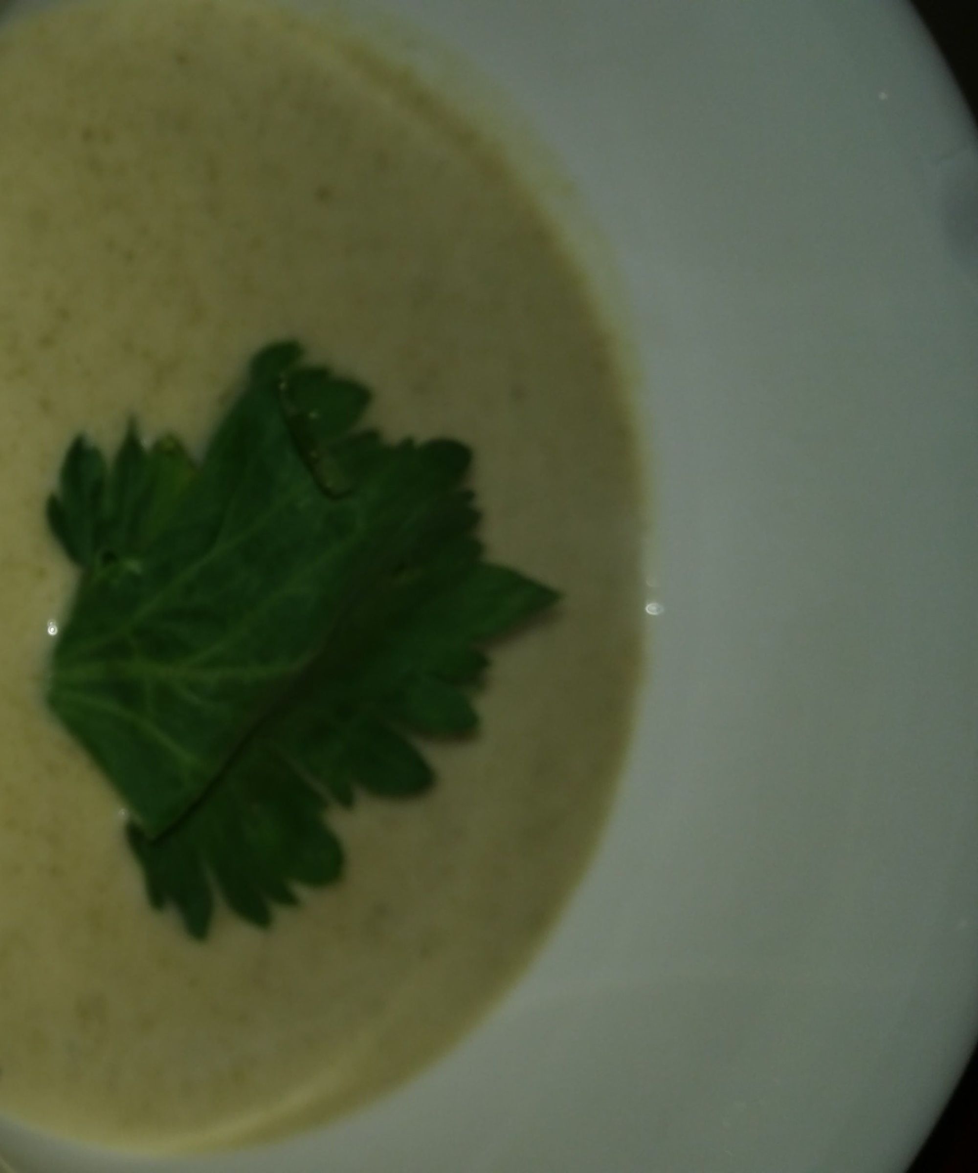 Absolutely Amazing Cream of Celery Soup