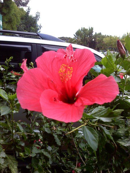 The Basics About Health