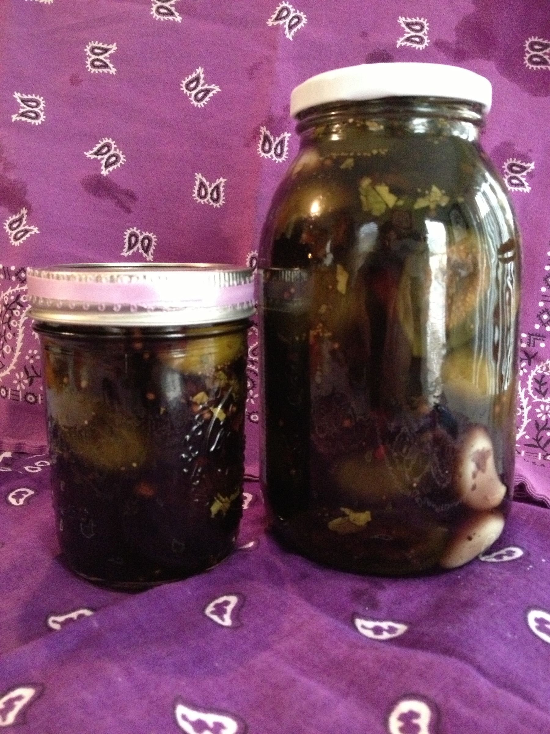 Purple "FIG-A-LICIOUS" Koolicles