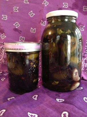 Purple "FIG-A-LICIOUS" Koolicles