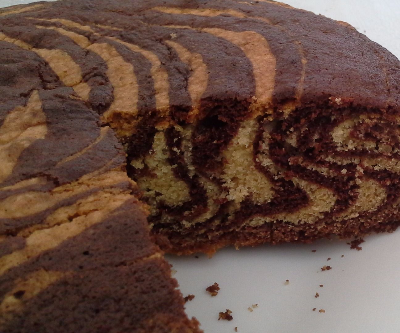Chocolate Zebra Cake