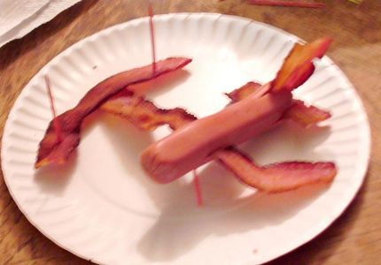 Bacon-bi-plane