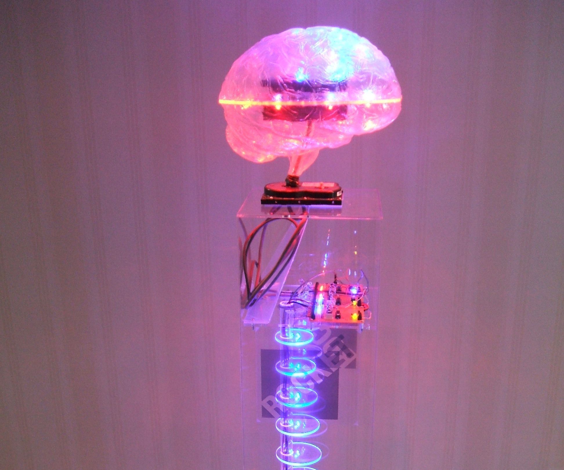 "The Brain" an External Hard-drive and Light Sculpture