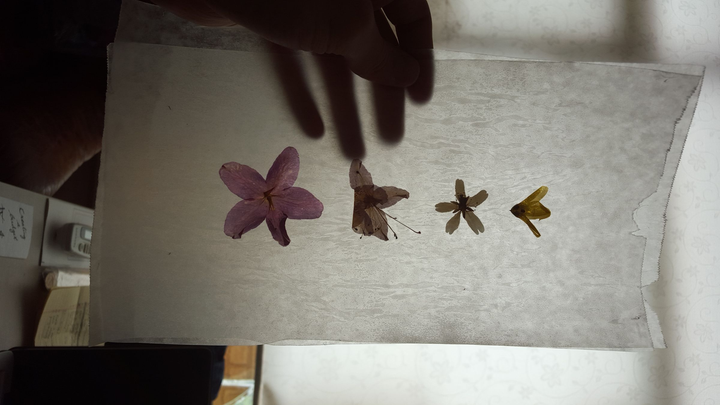 Wax Paper Pressed Foliage Bookmarks 5 Steps (with Pictures