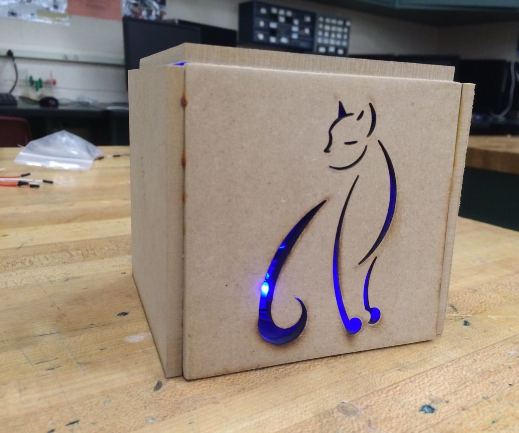 Light Up Cat Decor