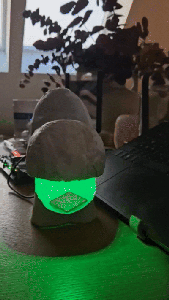 Install the LED and Camera Inside the Mouth