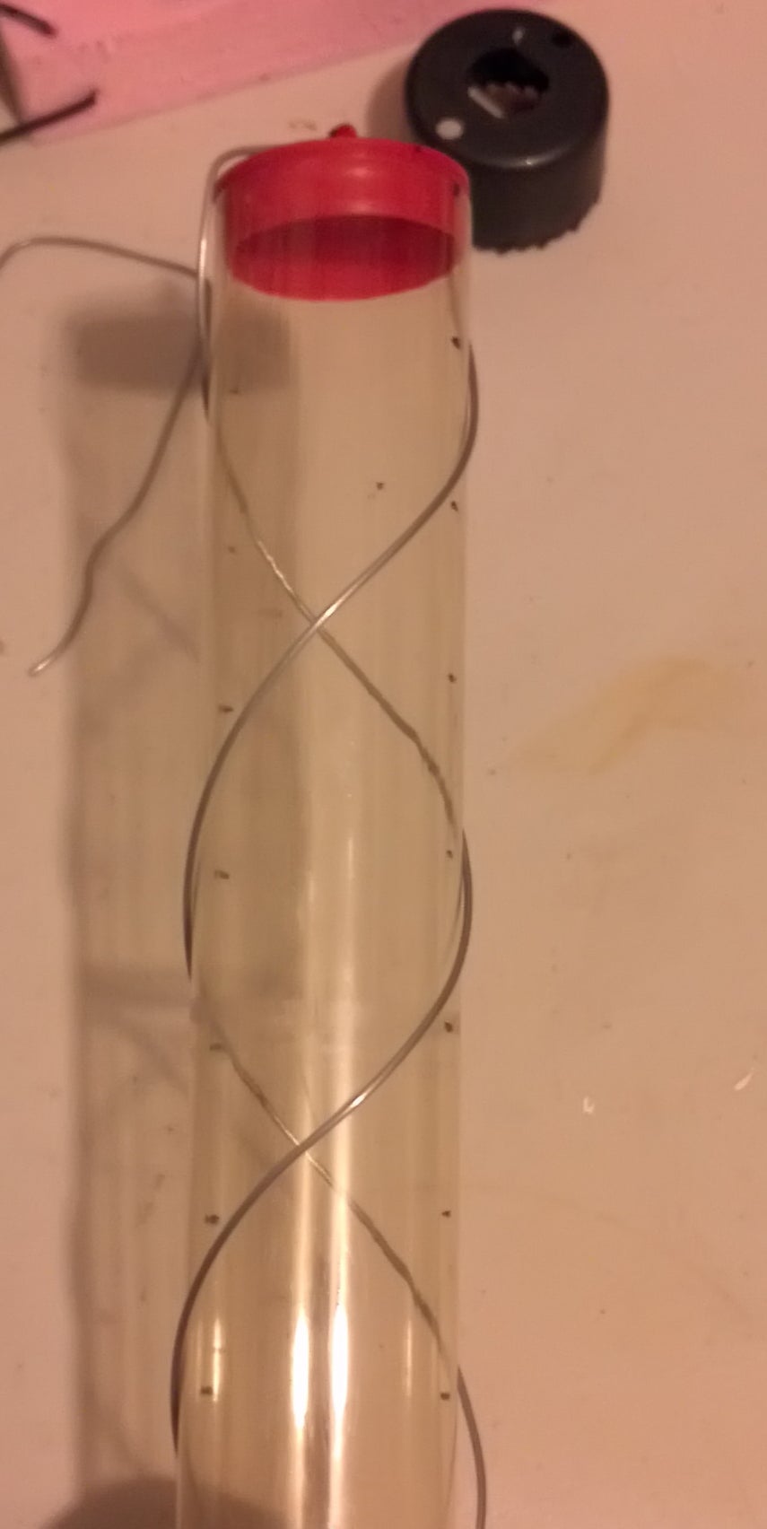 Building the Double Helix
