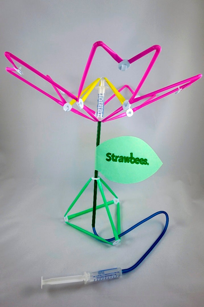 Strawbees Hydraulic Flower