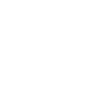 download {{ file.name }}