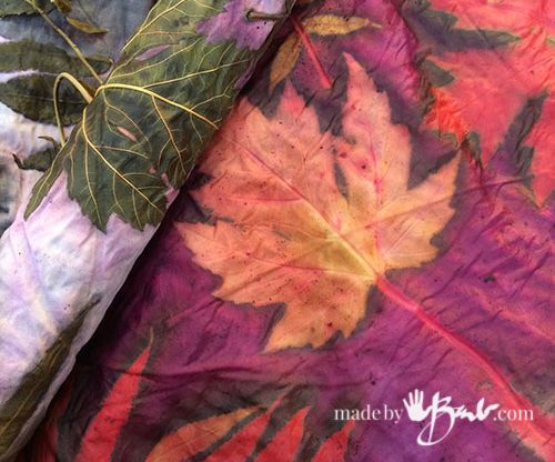 Printing With Nature's Amazing 'Colour Bug' : 10 Steps (with Pictures ...