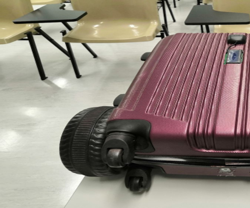 Autonomous Smart Suitcase Pixy Camera!