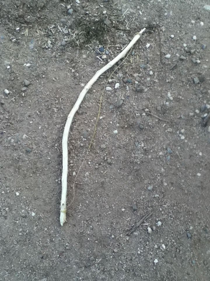 Survival Bow