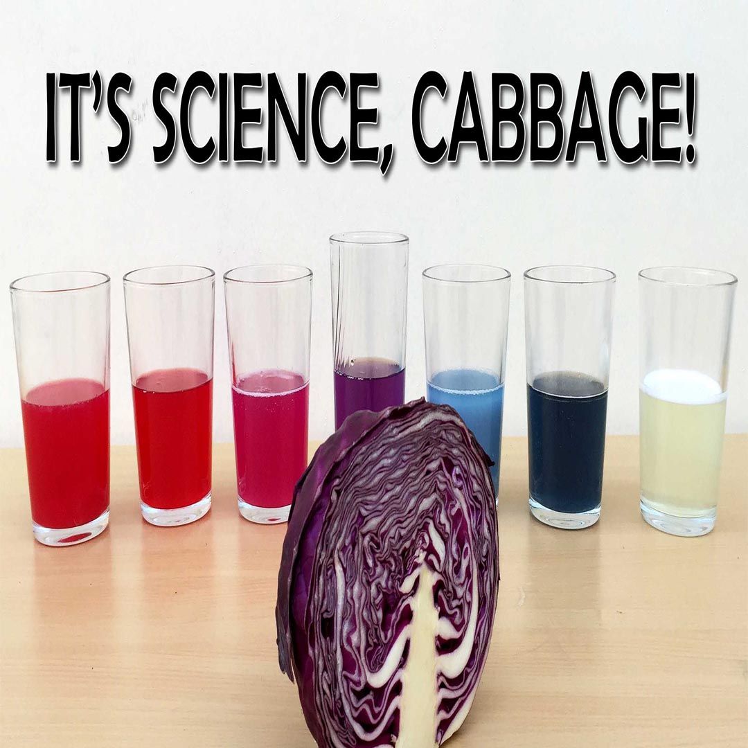 Acid/Base PH Indicator Experiment (Video) 3 Steps (with Pictures