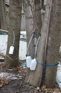 Set Up the Containers