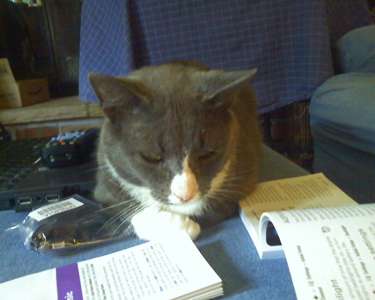 author