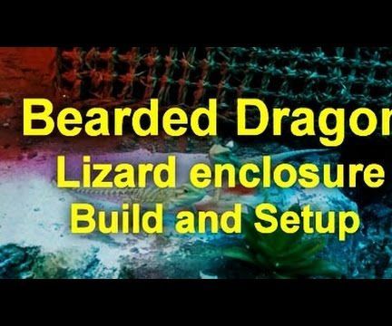 Bearded Dragon Lizard Enclosure