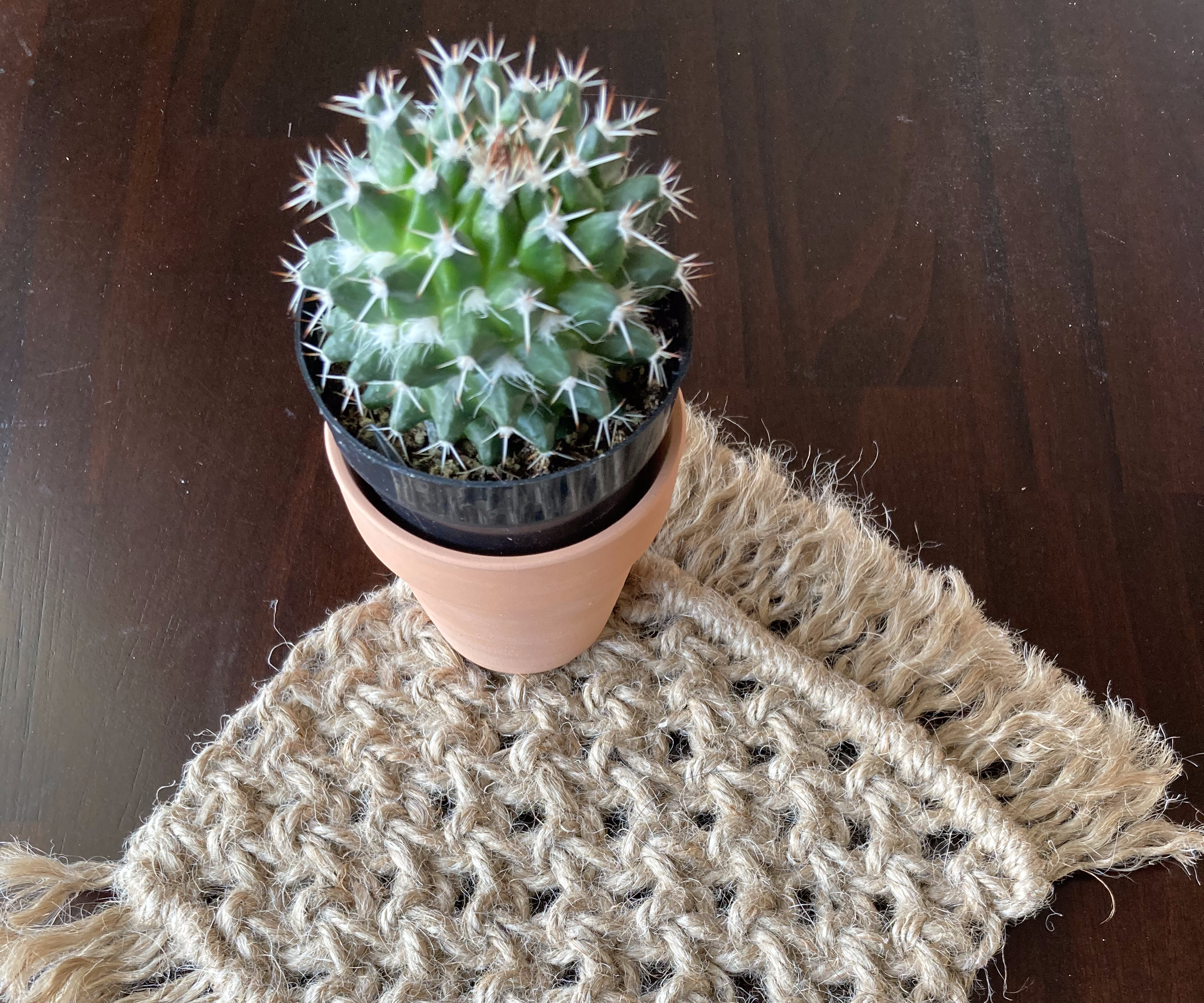 Jute Macramé Coasters