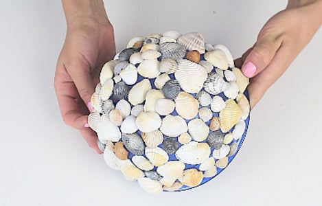 Using These Shells I Transformed My Room Absolutely Stunning for Summer!