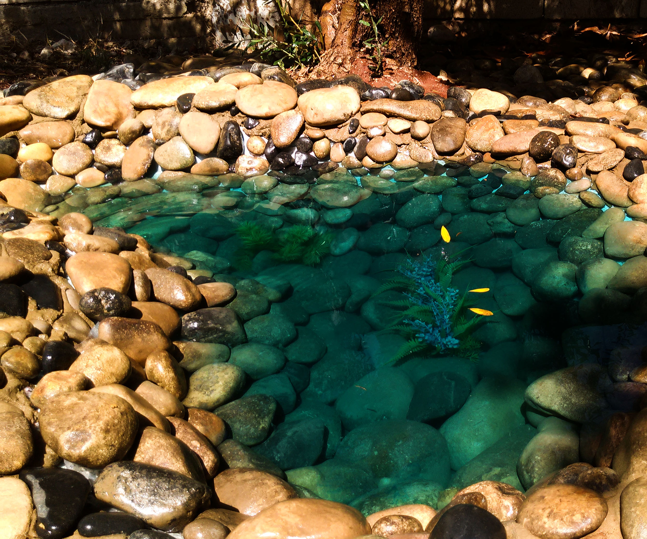 How to Make a Zen Pond