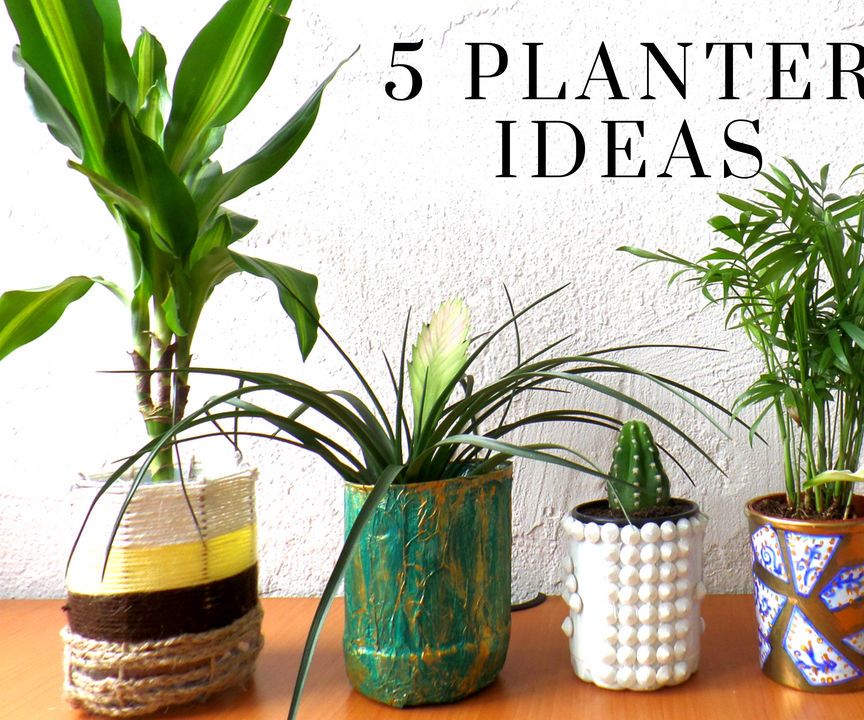 Five Planter / Plant Pot Ideas Using Recycled Materials