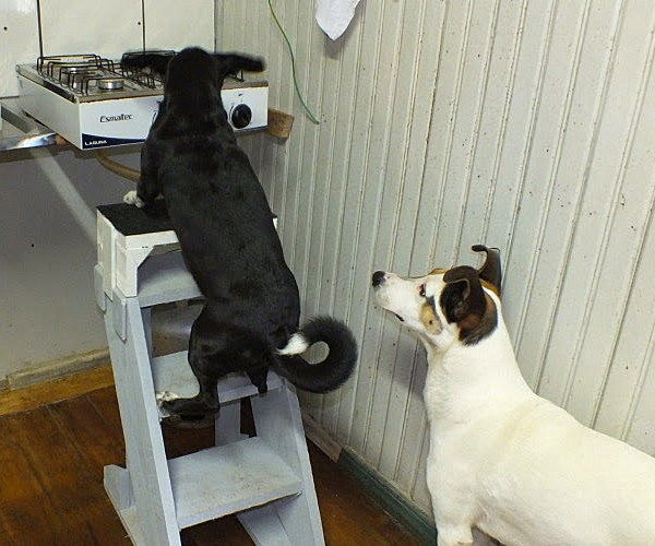 Stair-bench for Your Home, Office or Workshop