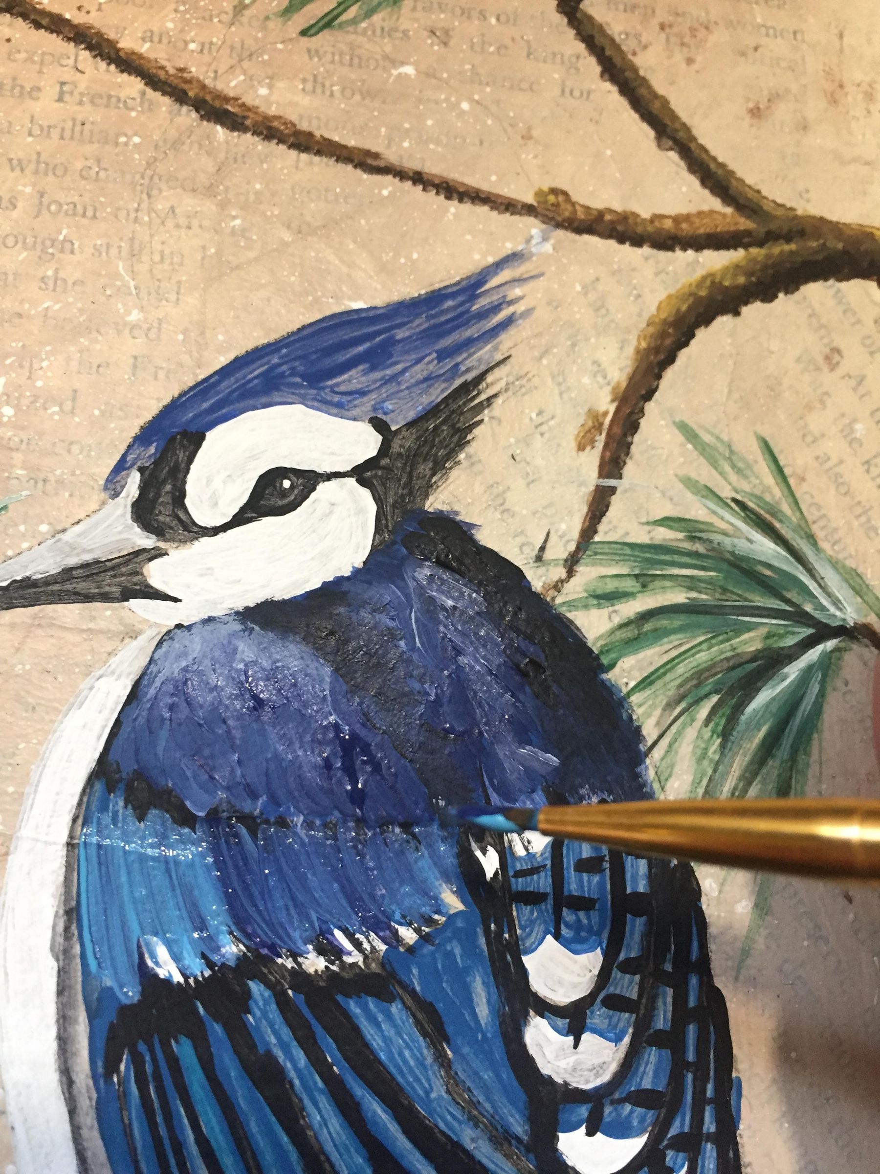 How to Paint a Blue Jay on a Branch. 13 Steps (with Pictures