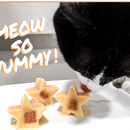 Meow-So-Yummy! Frozen Treats for Cats