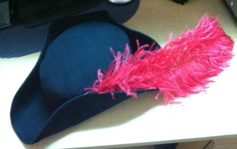 Pirate Hat
