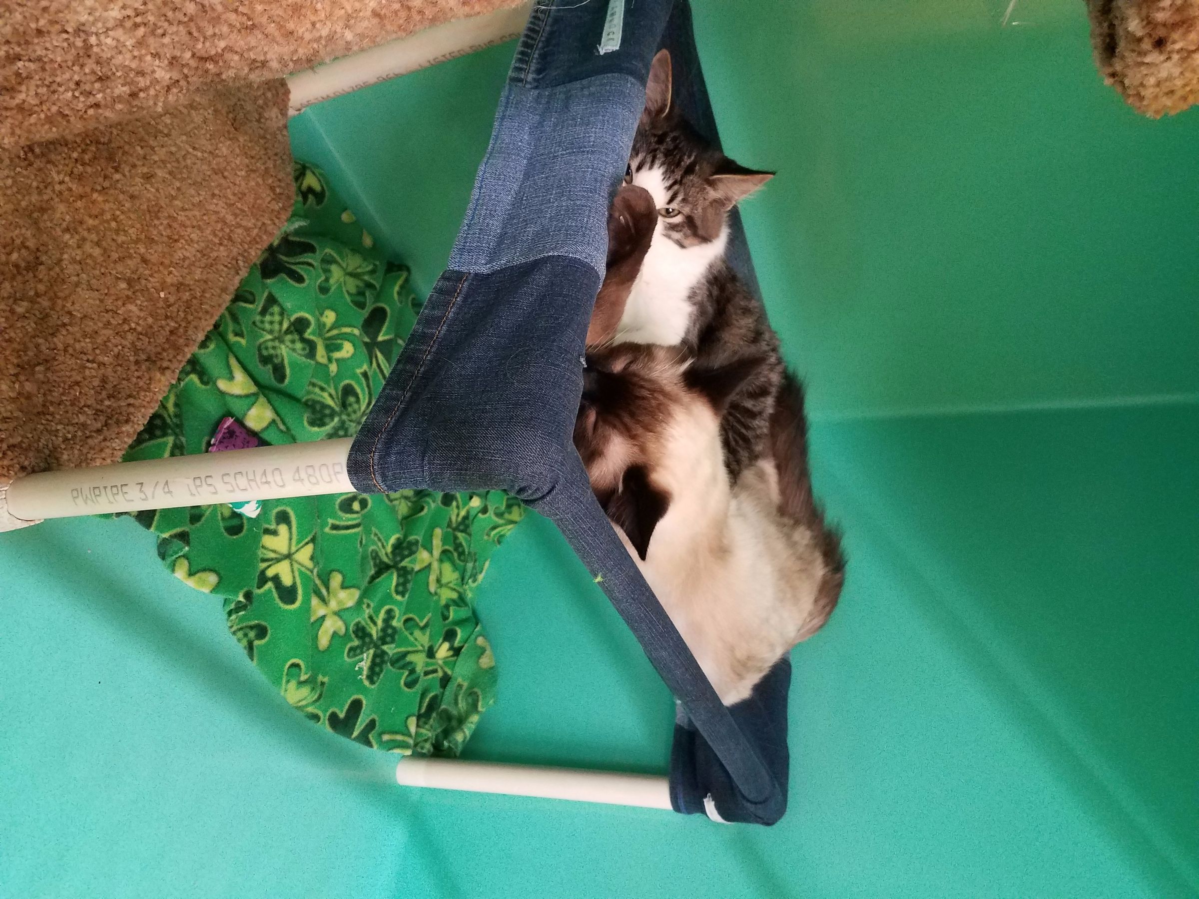 Large Cat Hammocks Home or Shelter Use 23 Steps Instructables