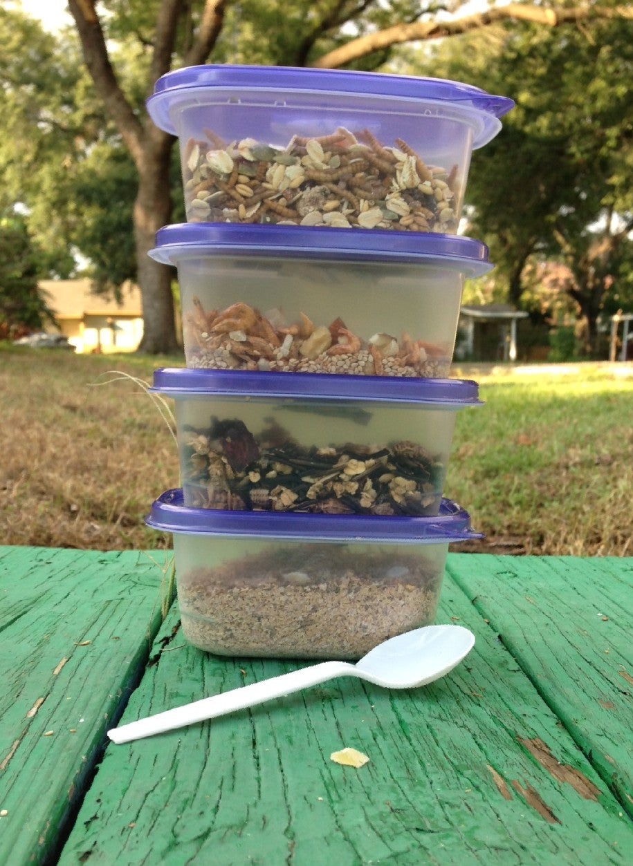 why won%ca%bct my hermit crab eat