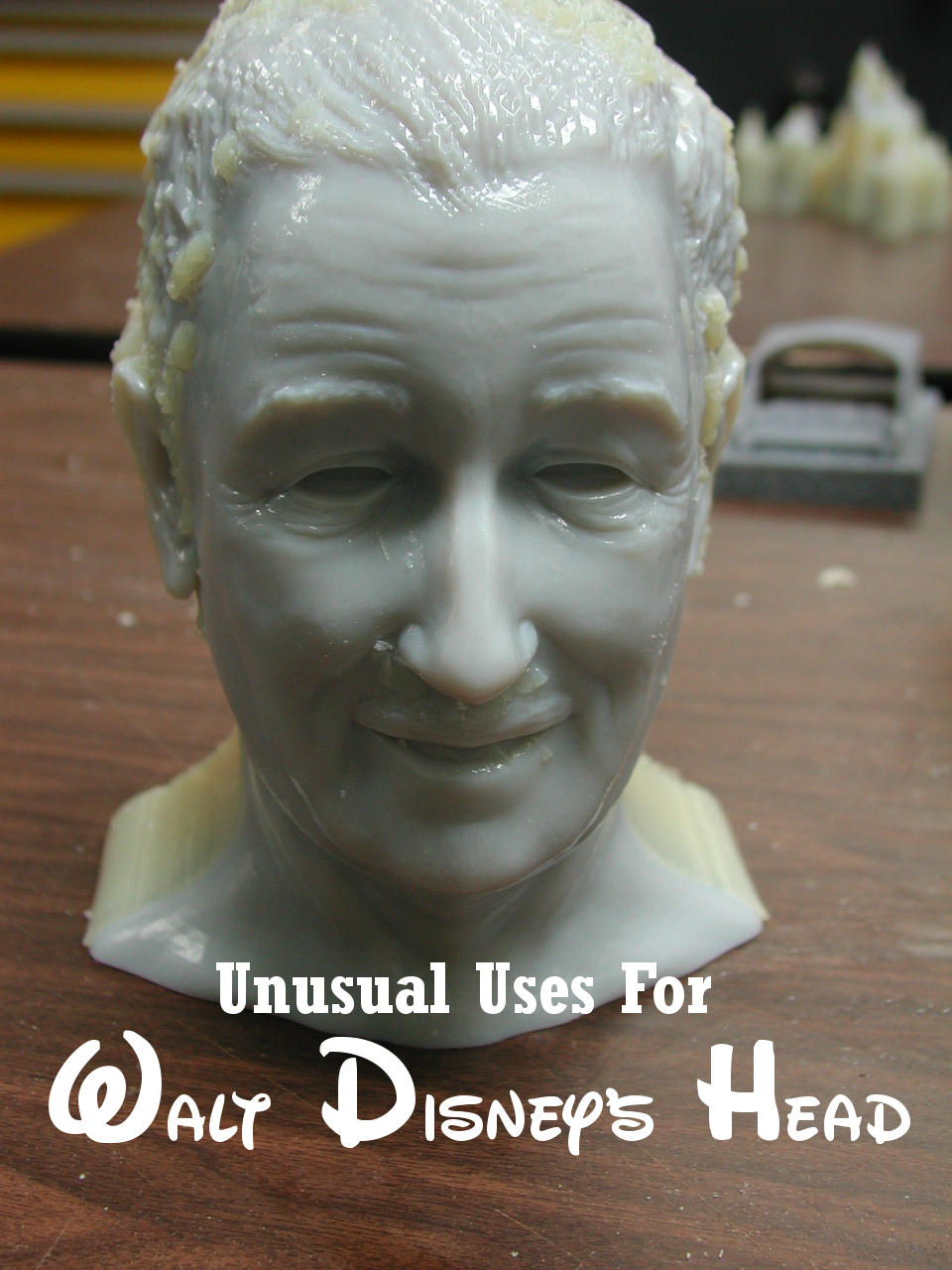 Collection Cover Image: Unusual Uses for Disney's Head