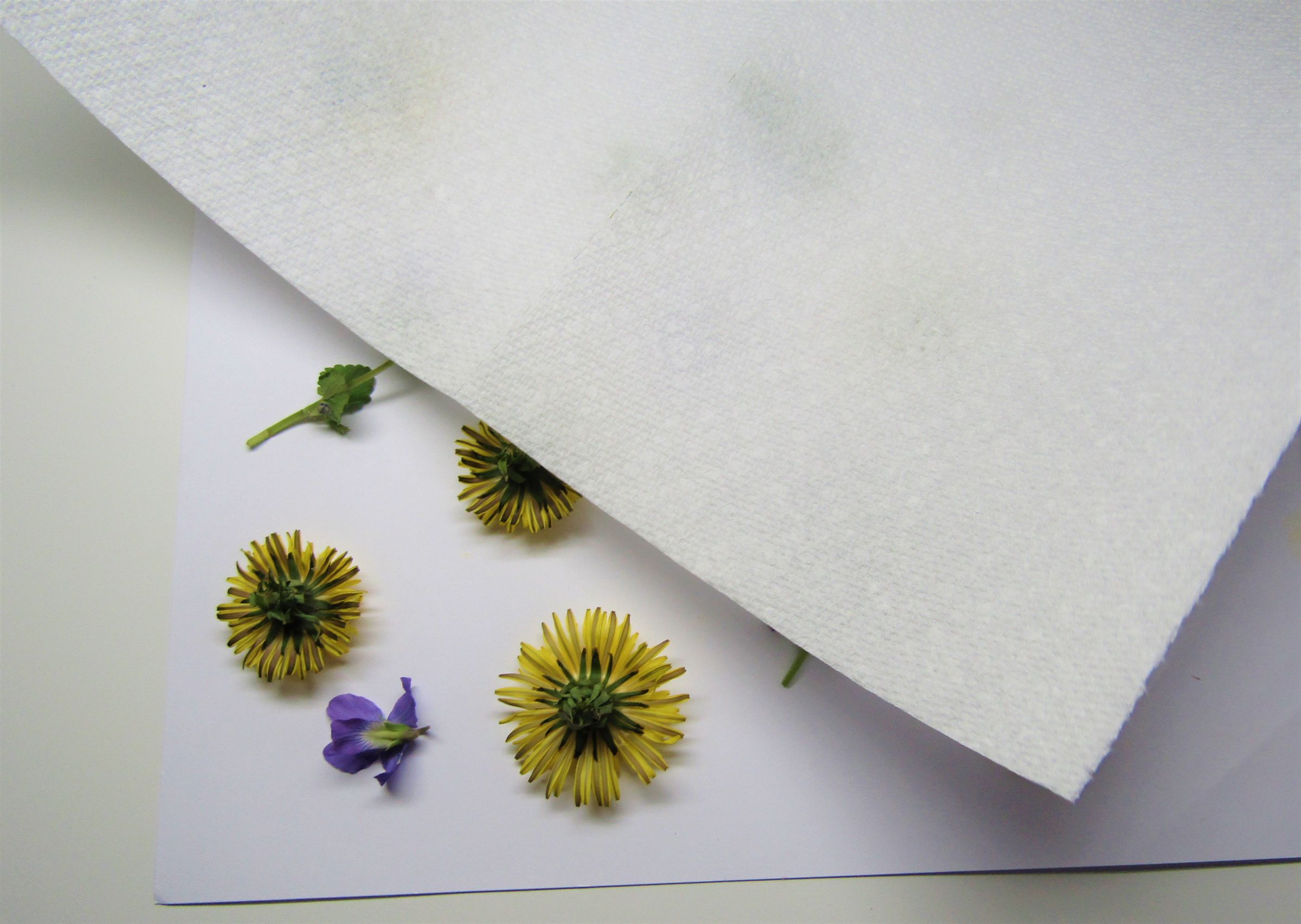 Flower Pounding 5 Steps Instructables