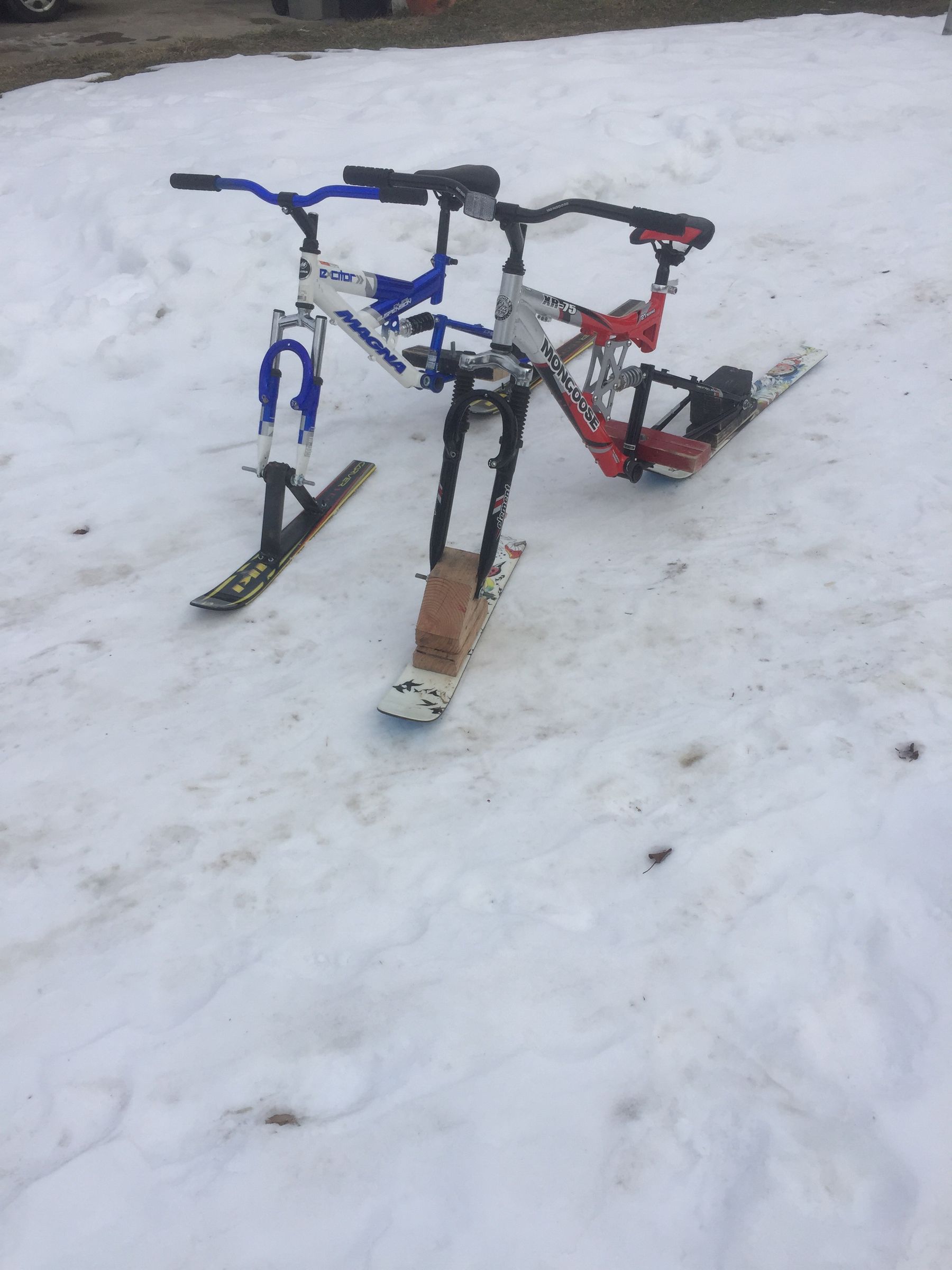 Ski Bike